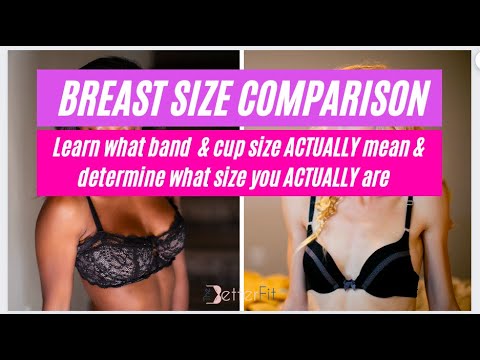 How Big Is a 34DD Bra Cup Size?