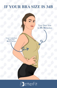 How Big Is a 34B Bra Cup Size? | TheBetterFit