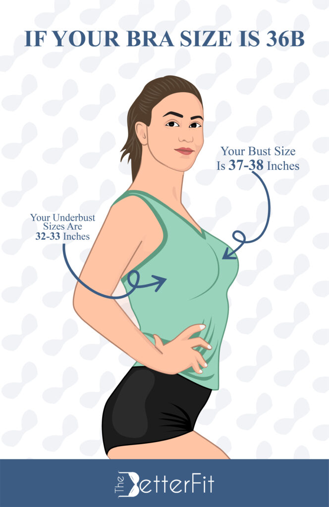 How Big Is A 36B Bra Cup Size TheBetterFit how-big-is-a-36b-bra-cup-size-thebetterfit