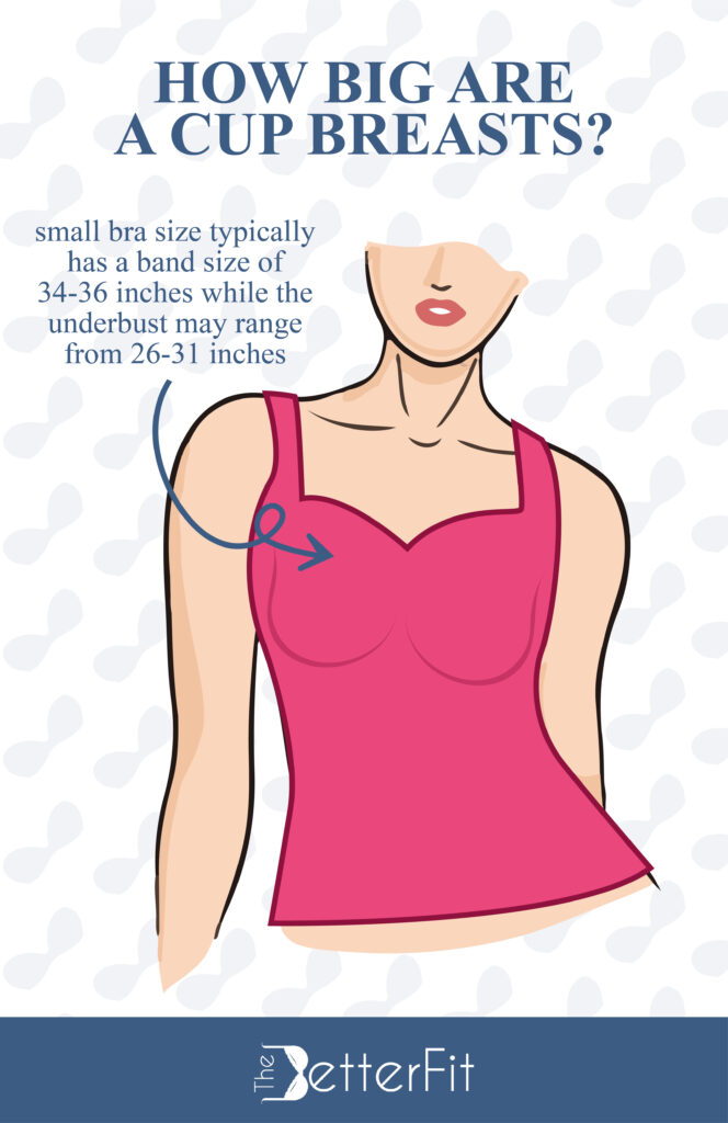 How Big Are A, AA, and AAA Cup Breasts?