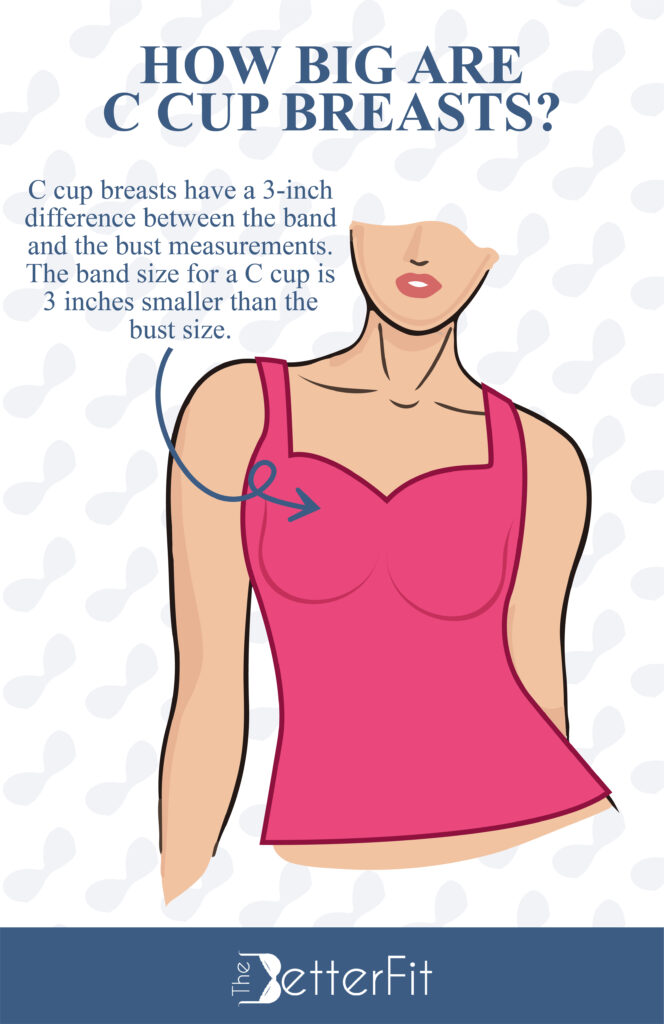 How Big Are C Cup Breasts TheBetterFit how-big-are-c-cup-breasts-thebetterfit