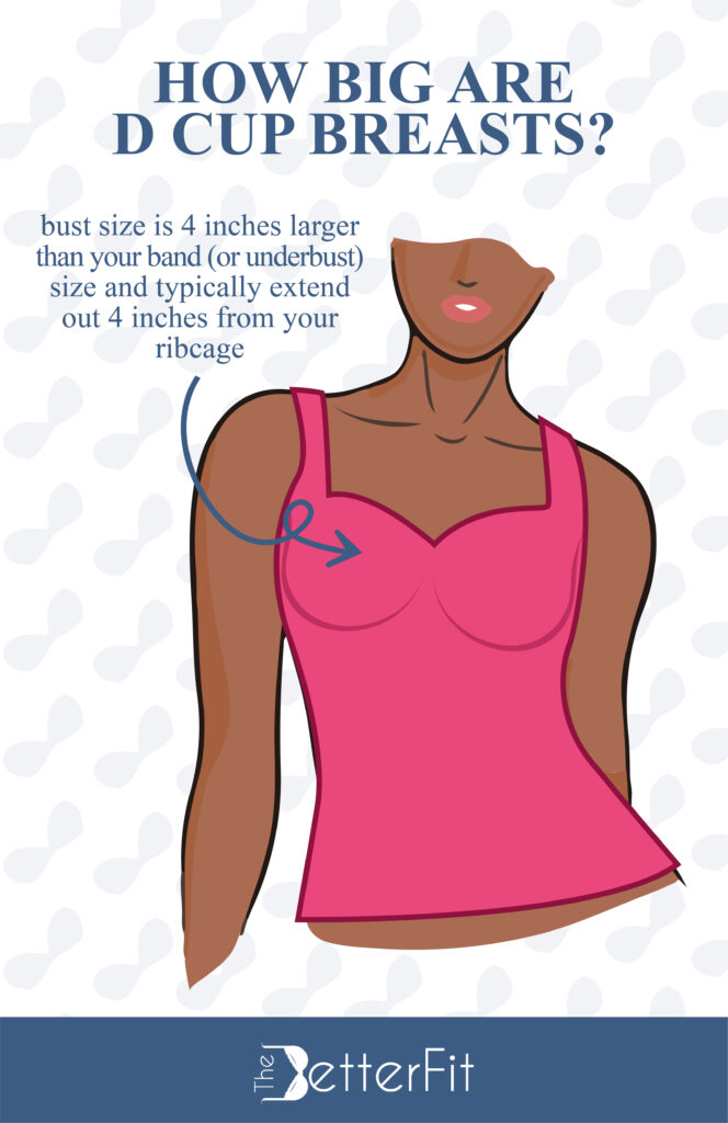 How Big Are D Cup Breasts?