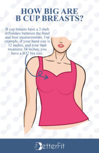 How Big Are B Cup Breasts? TheBetterFit