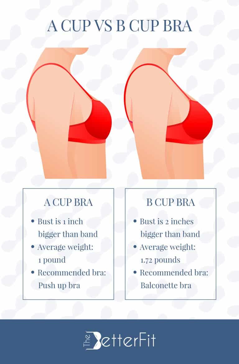 A Cup Vs B Cup Bra Sizes In Review TheBetterFit