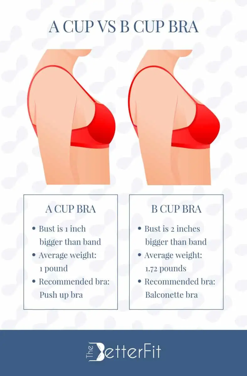 A Cup Vs B Cup Bra Sizes In Review Thebetterfit