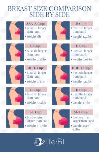 Breast Size Comparison Side by Side TheBetterFit