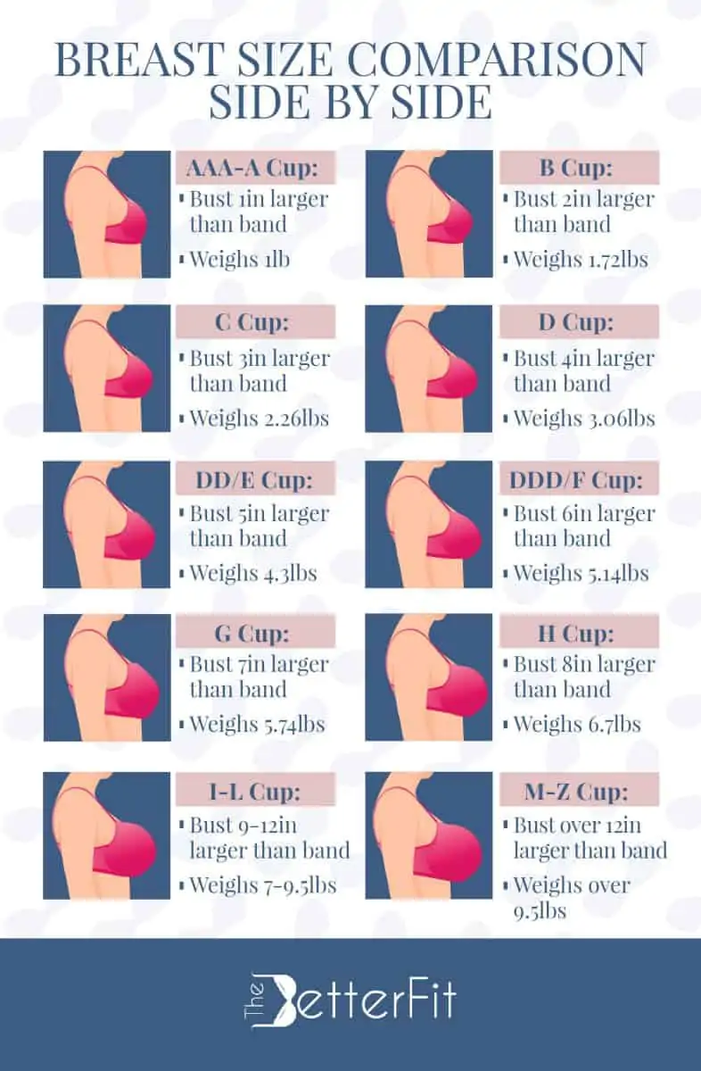 Different Breast Sizes Chart different-breast-sizes-chart