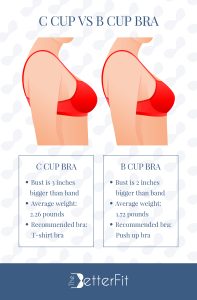 C Cup vs B Cup Bra Sizes In Review | TheBetterFit