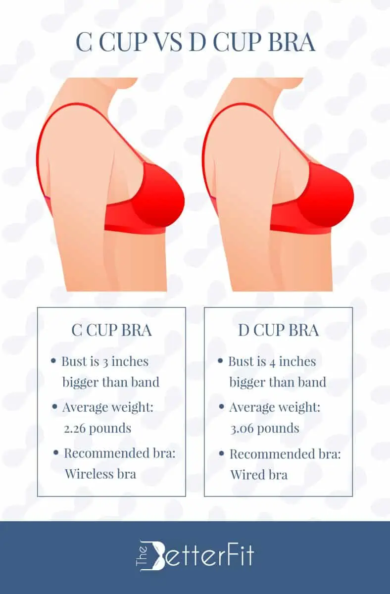 C Cup vs D Cup Bra Sizes In Review