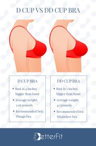 D Cup vs DD Cup Bra Sizes In Review | TheBetterFit