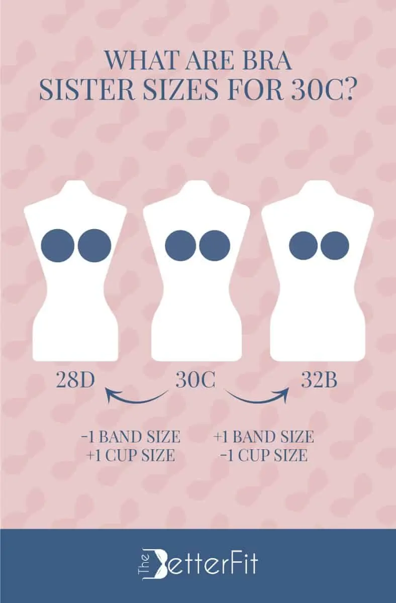 How Big Is a 30C Bra Cup Size?