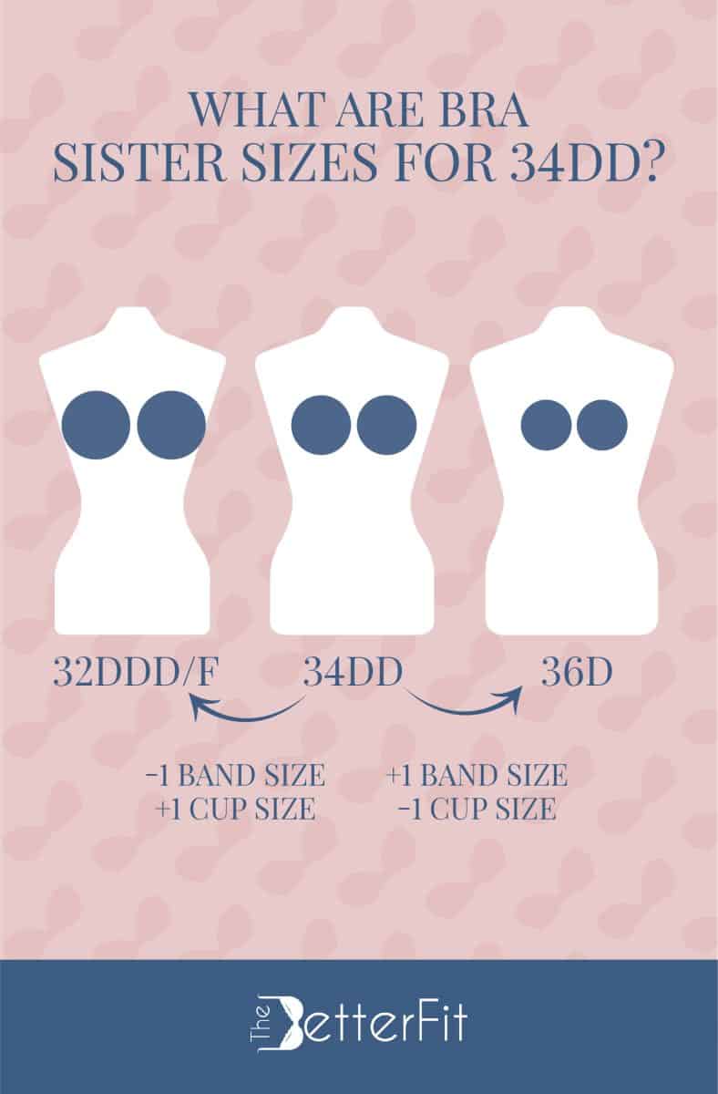 Average Busted Figure Types in 34DD Bra Size C Cup Sizes European