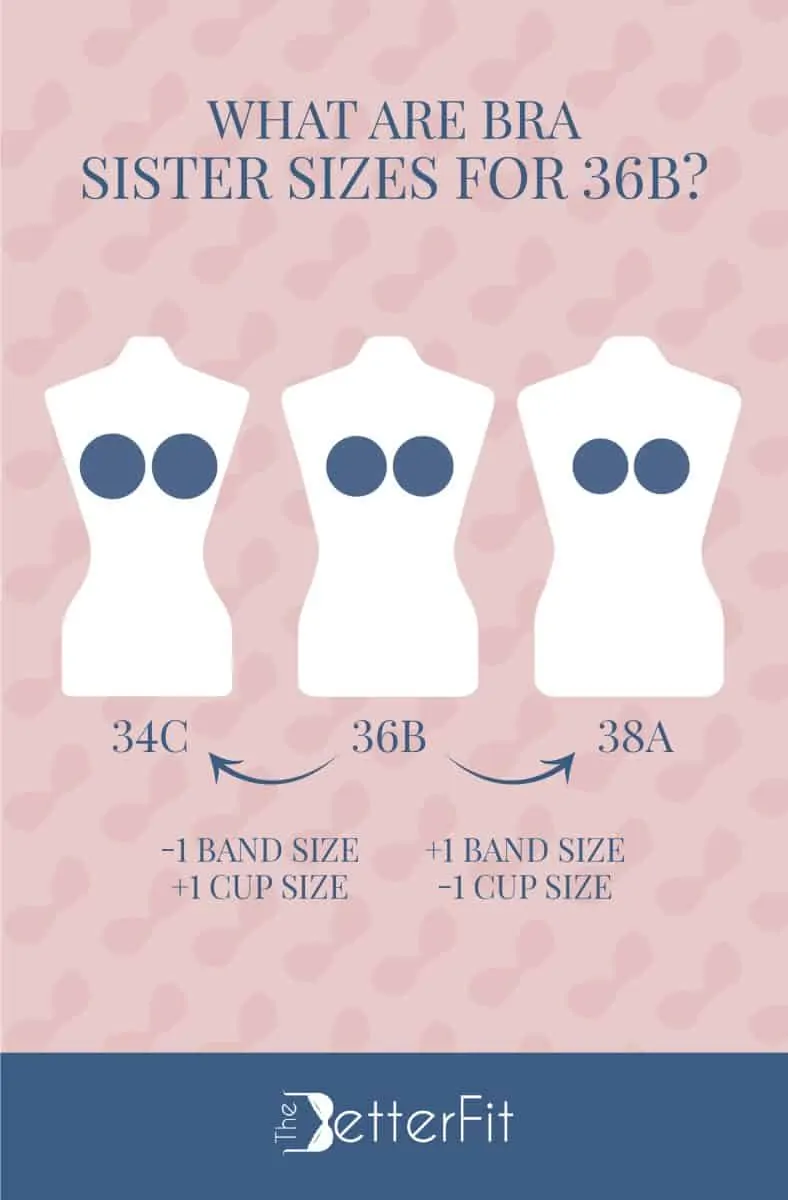 How Big Is A 36b Bra Cup Size Thebetterfit