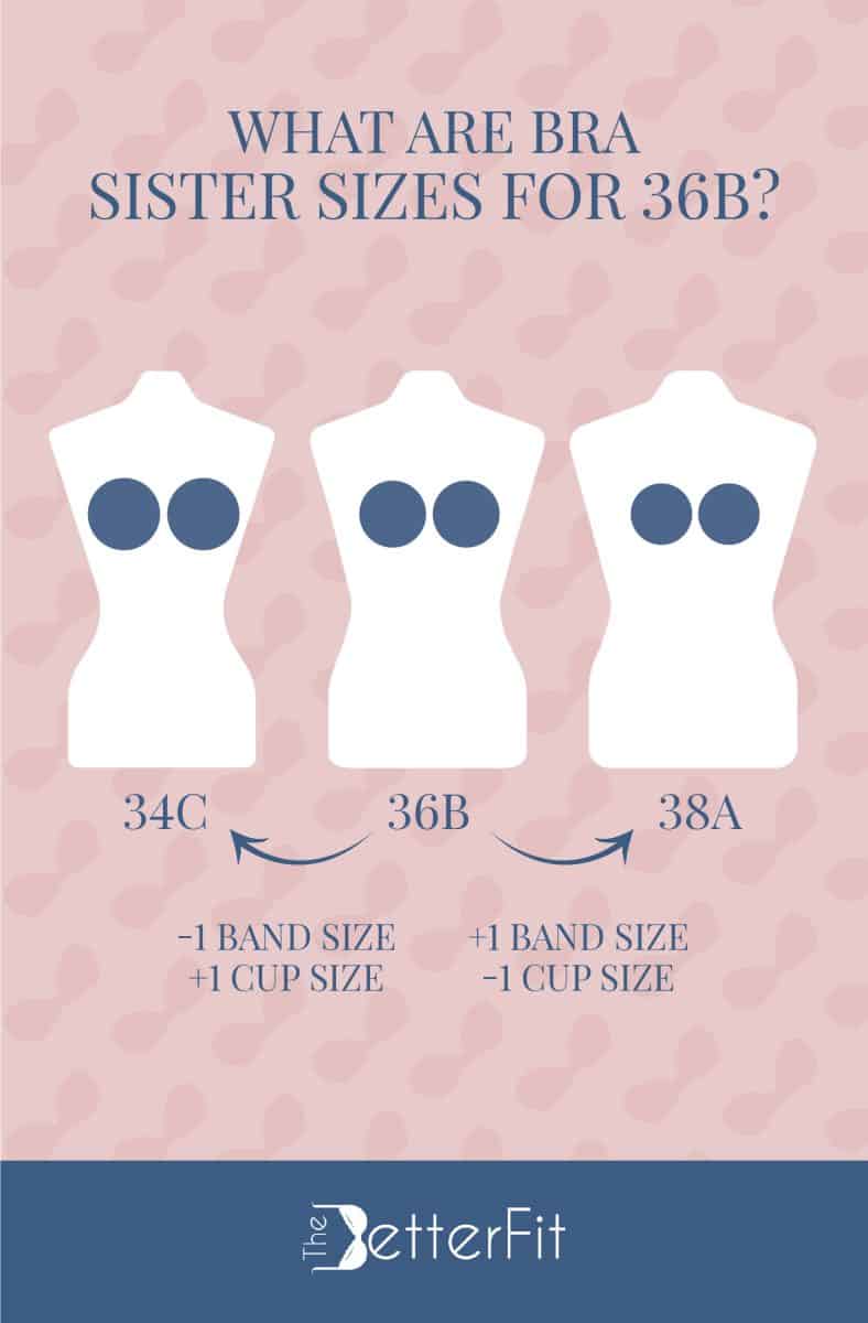 How Big Is a 36B Bra Cup Size?