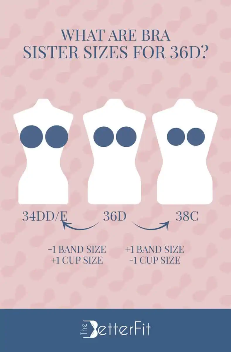 How Big Is a 36D Bra Cup Size?