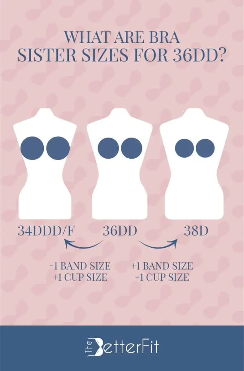 How Big is a 36DD Bra Cup Size?