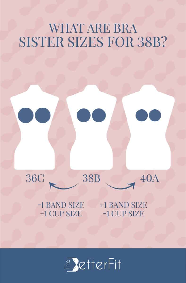 How Big Is A 38B Bra Cup Size TheBetterFit how-big-is-a-38b-bra-cup-size-thebetterfit