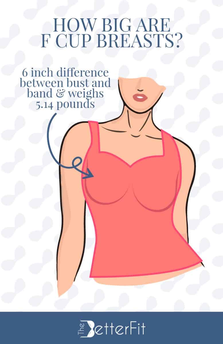 How Big Are F Cups Breasts?