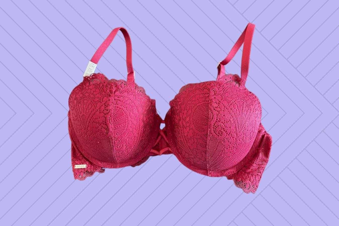 Bra vs Plunge Bra Key Differences TheBetterFit