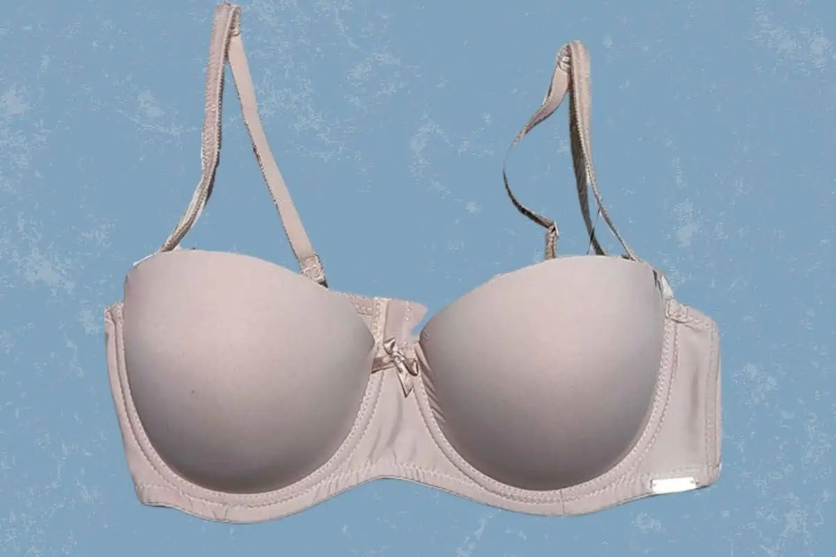 How Big Is a 38C Bra Cup Size TheBetterFit