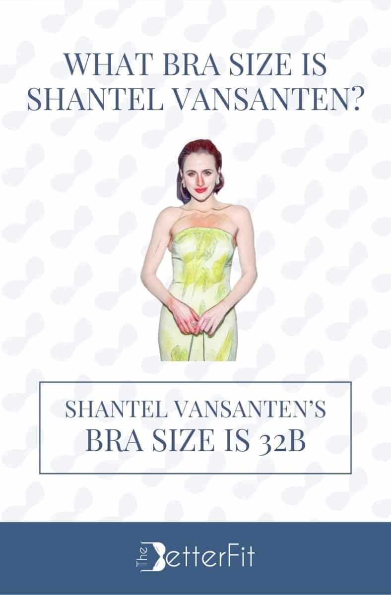 What Bra Size Is Shannyn Sossamon?