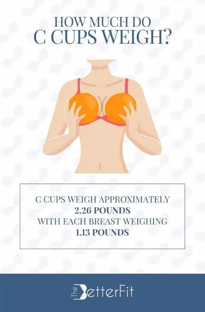 C Cup Boobs: Understanding the C Cup Breast Size & Bra Styles - HauteFlair