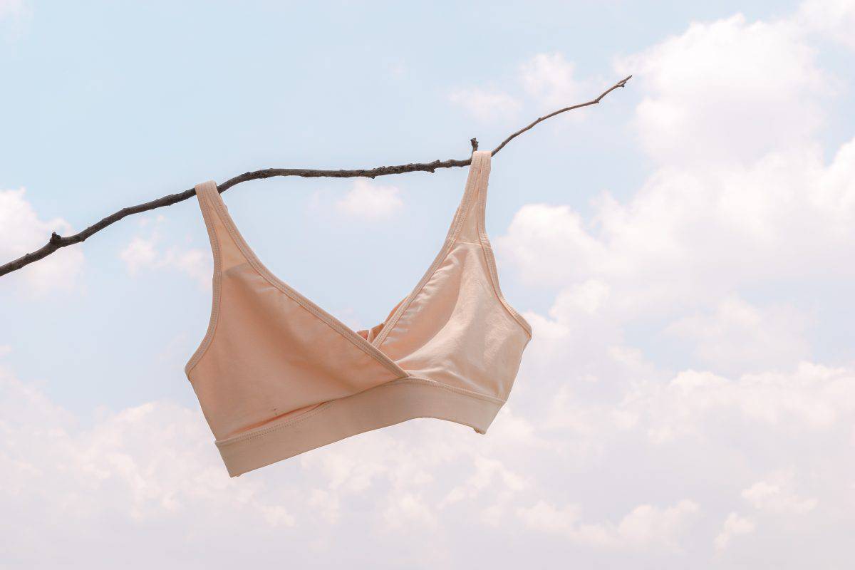 A bra hanging on thin branch under the sun