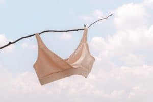 A bra hanging on thin branch under the sun